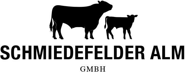 logo footer